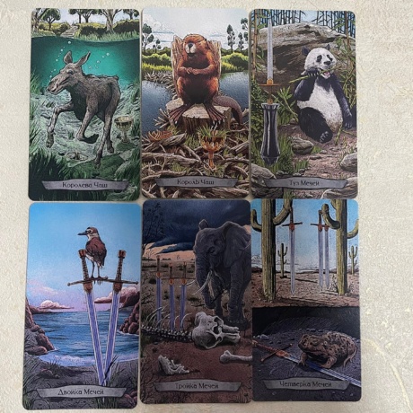 Набор Таро Тотемных Животных книга + карты